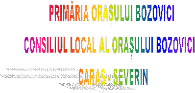 PRIMĂRIA ORAȘULUI BOZOVICI 
CONSILIUL LOCAL AL ORAȘULUI BOZOVICI   
CARAȘ - SEVERIN