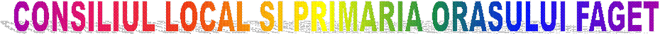 CONSILIUL LOCAL SI PRIMARIA ORASULUI FAGET
