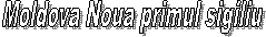 Moldova Noua primul sigiliu