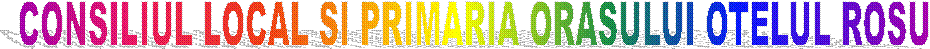 CONSILIUL LOCAL SI PRIMARIA ORASULUI OTELUL ROSU