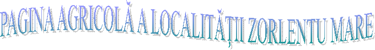 PAGINA AGRICOLĂ A LOCALITĂŢII ZORLENTU MARE