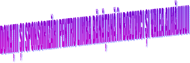 DONAȚII ȘI SPONSORIZĂRI PENTRU LIMBA BĂNĂȚANĂ &Icirc;N BOZOVICI ȘI VALEA ALMĂJULUI