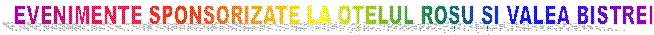 EVENIMENTE SPONSORIZATE LA OȚELUL ROȘU ȘI VALEA BISTREI