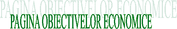PAGINA OBIECTIVELOR ECONOMICE