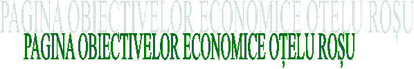 PAGINA OBIECTIVELOR ECONOMICE OȚELU ROȘU
