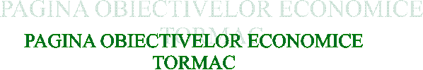 PAGINA OBIECTIVELOR ECONOMICE
TORMAC