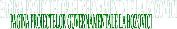 PAGINA PROIECTELOR GUVERNAMENTALE LA BOZOVICI