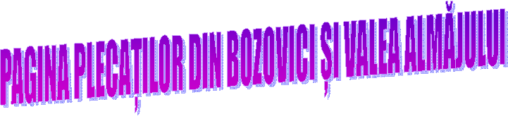 PAGINA PLECAȚILOR DIN BOZOVICI ȘI VALEA ALMĂJULUI