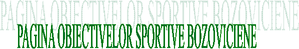 PAGINA OBIECTIVELOR SPORTIVE BOZOVICIENE