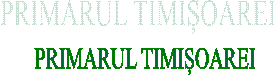 PRIMARUL TIMIȘOAREI